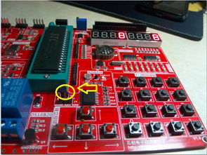 電子產(chǎn)品世界論壇通訊設(shè)備專題 連接未來，觸手可及
